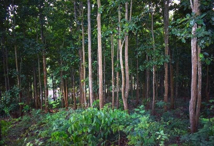 Курорт Bougainvillea Retreat & Spa