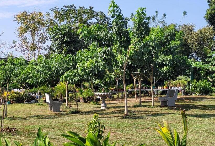 旅馆 The Inn At Punta Mala