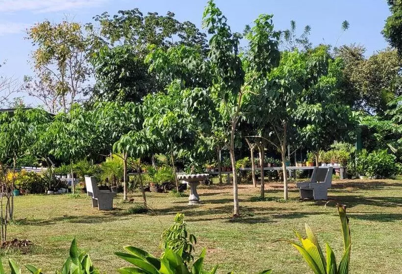 ユースホステル The Inn At Punta Mala