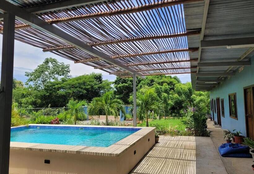 旅馆 The Inn At Punta Mala