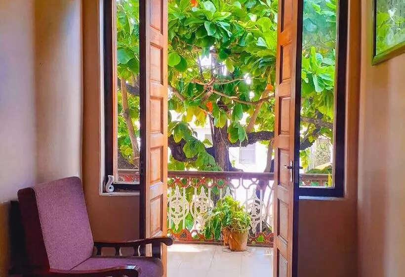 B&b Comfort