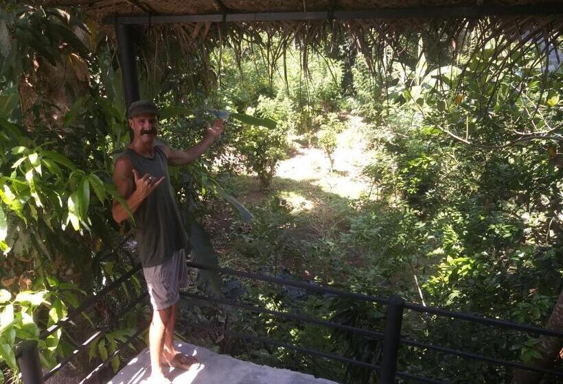 فندق Cozy Resort