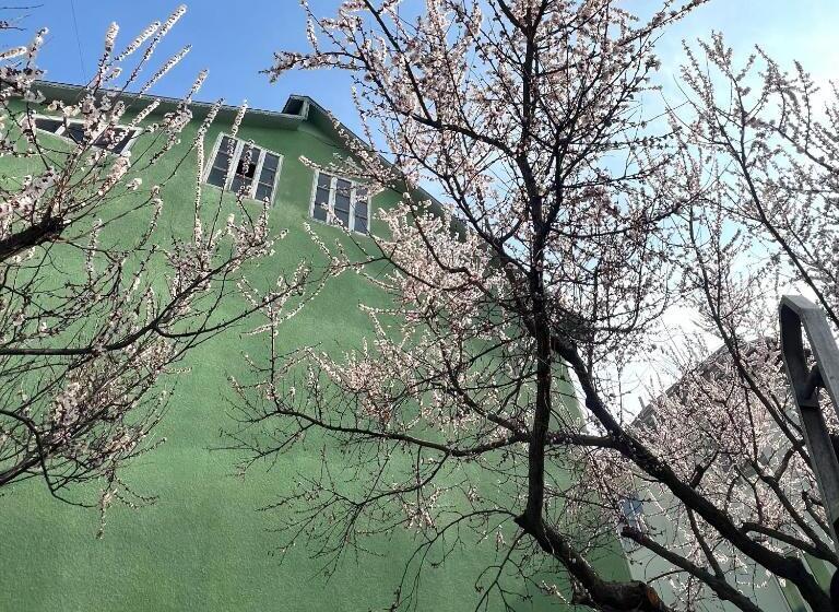 هتل کپسول Abs Guest House Osh