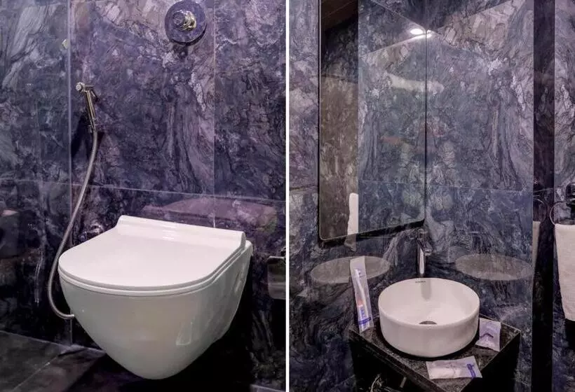 Hotelli Metropolis Business