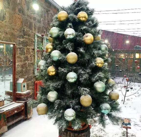 پانسیون Onoyi Tun Guest House