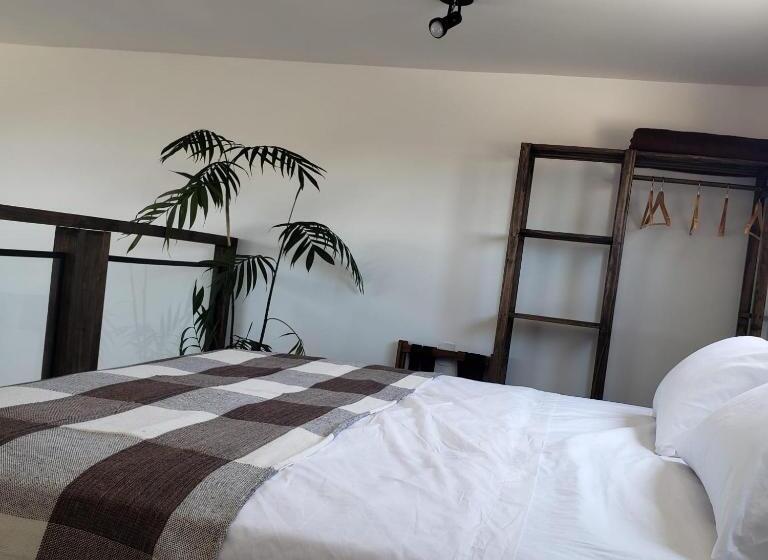 بنسيون The Guest House Hostel