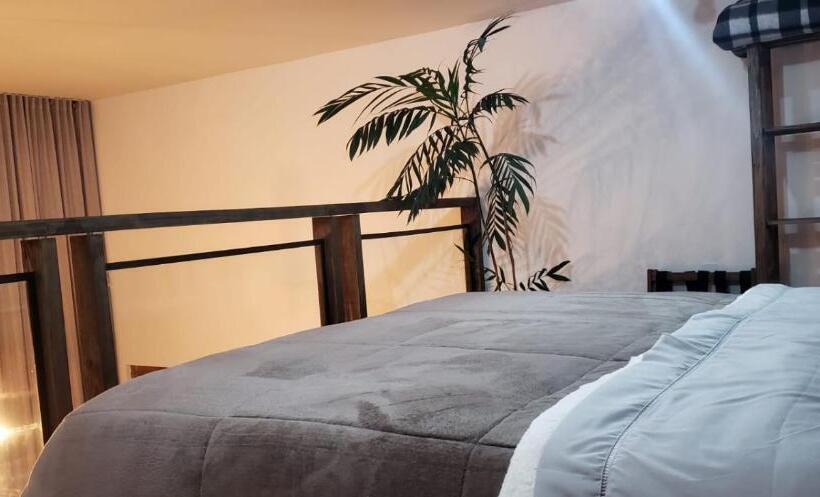 بنسيون The Guest House Hostel