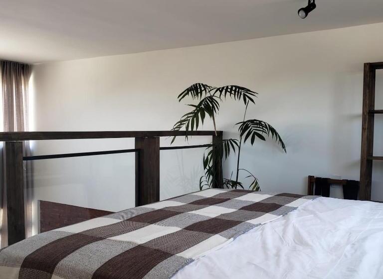 بنسيون The Guest House Hostel