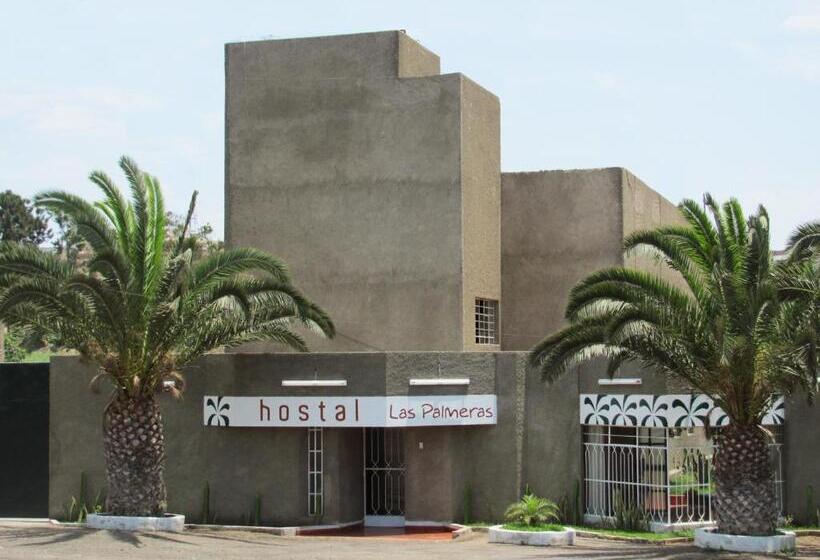 هتل Las Palmeras Hostal