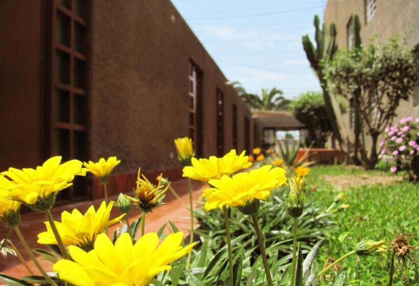 هتل Las Palmeras Hostal