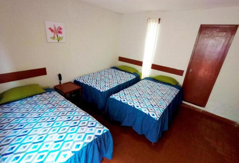 هتل Las Palmeras Hostal