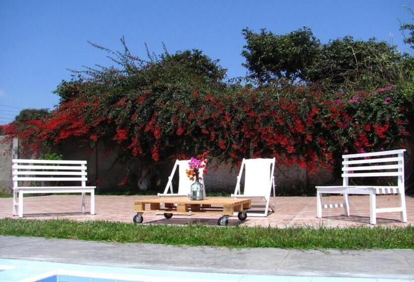 هتل Las Palmeras Hostal