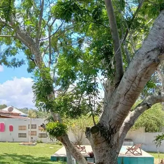 Hotelli Lirios Da Vila Pousada