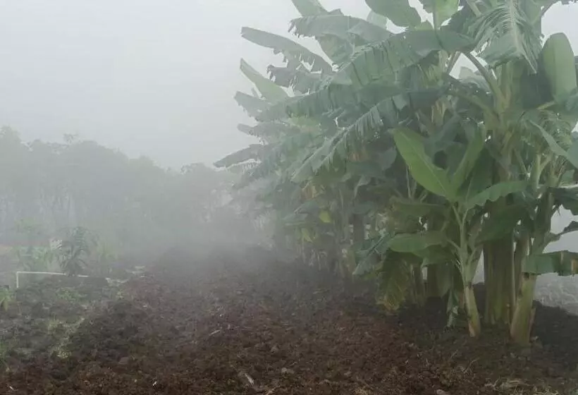 ホテル Osaree Agro And Art Hub
