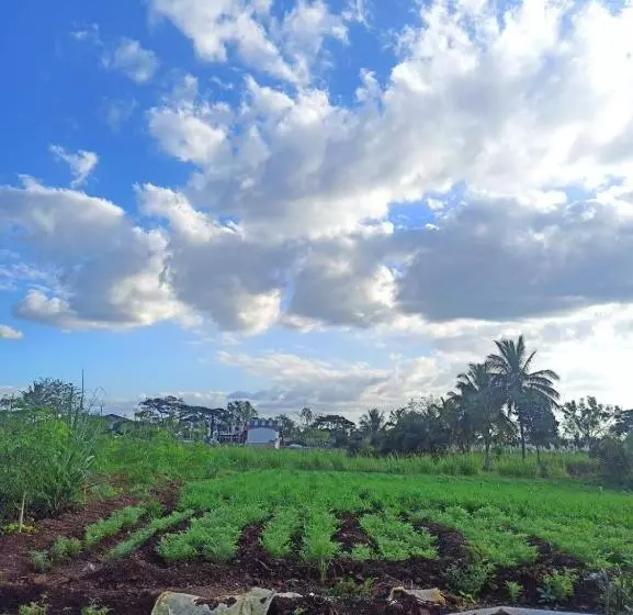 ホテル Osaree Agro And Art Hub