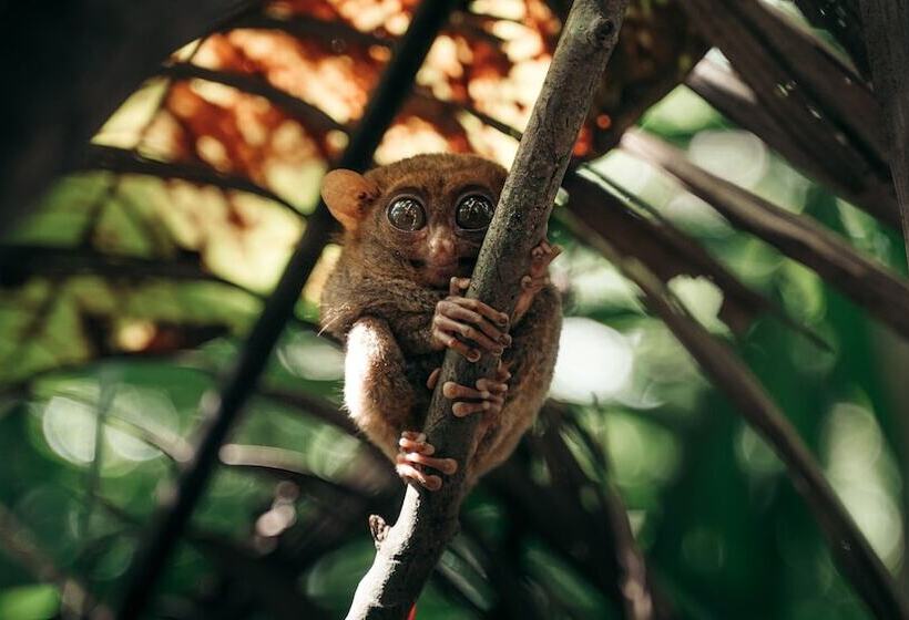 בית מלון כפרי Seeya