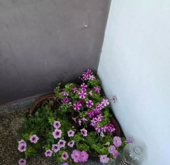 Majatalo къща за гости хайк