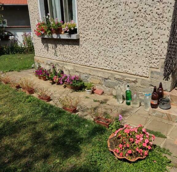 بنسيون къща за гости хайк