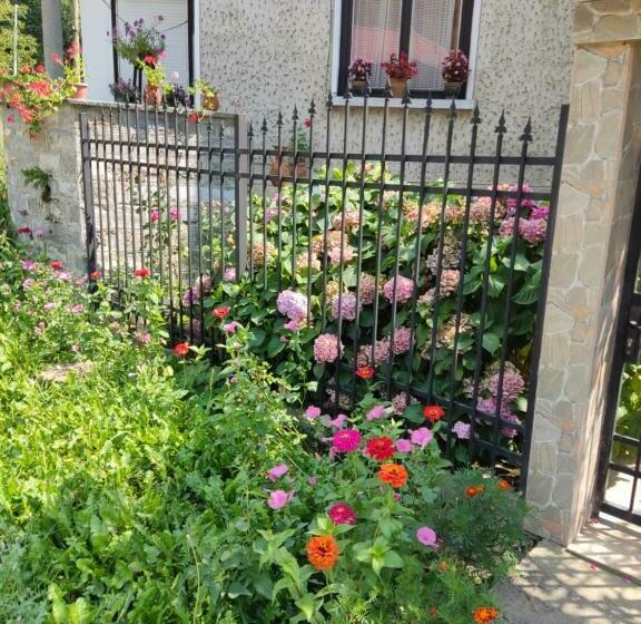 بنسيون къща за гости хайк