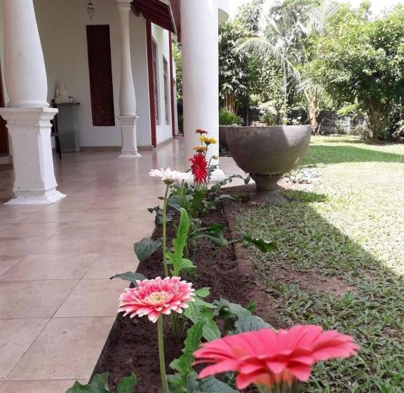 Pension (Hôtel basse catégorie) Blue Point Rest