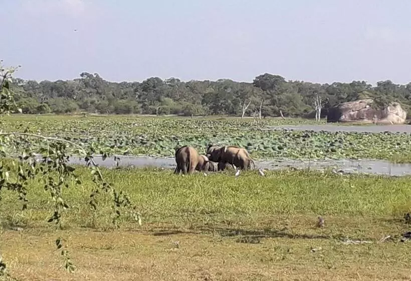 ペンション Blue Point Rest