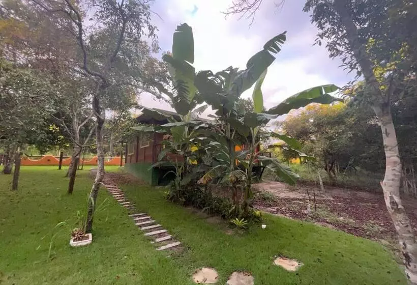 ペンション Chalés Mata Da Praia Corumbau