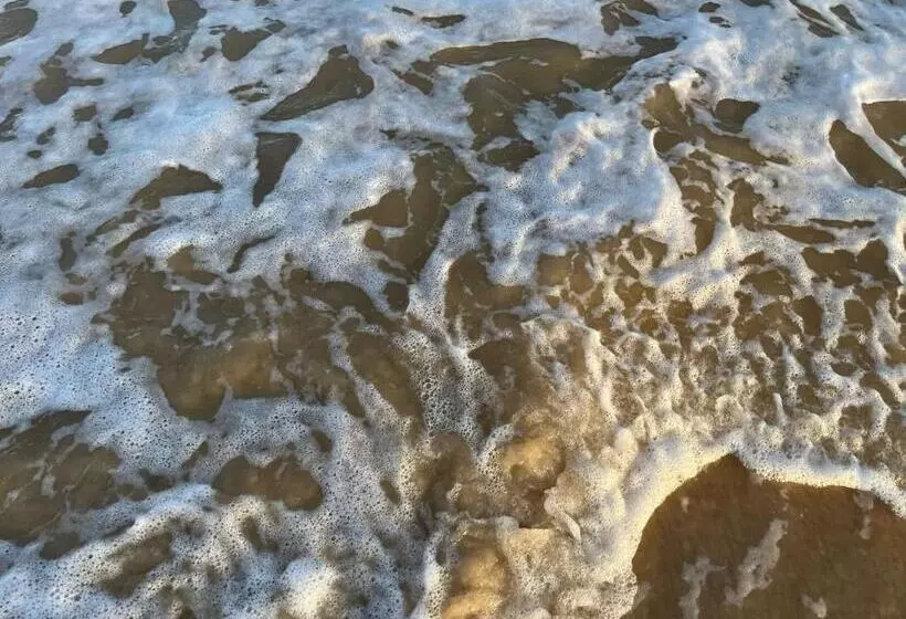 ペンション Chalés Mata Da Praia Corumbau