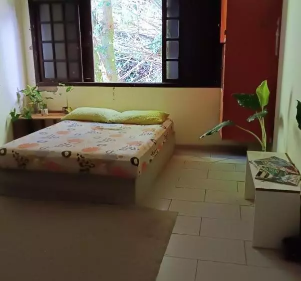 ペンション Eco Hostel 013