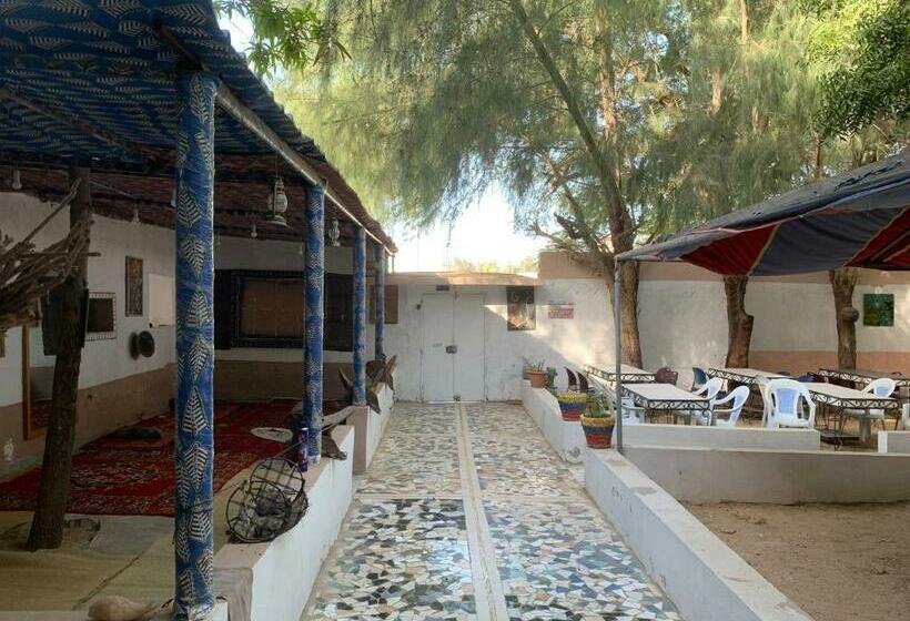 Auberge Camping Africa Escale