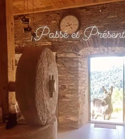 ベッドアンドブレックファースト Domaine Colonna Santini ,chambre D Hôtes Piscine, Sauna, Spa