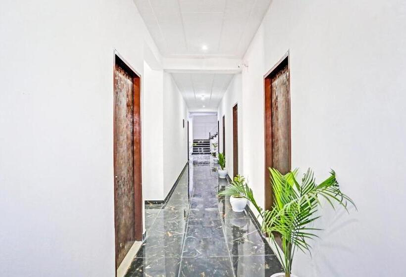 Hotel The Royal Fern