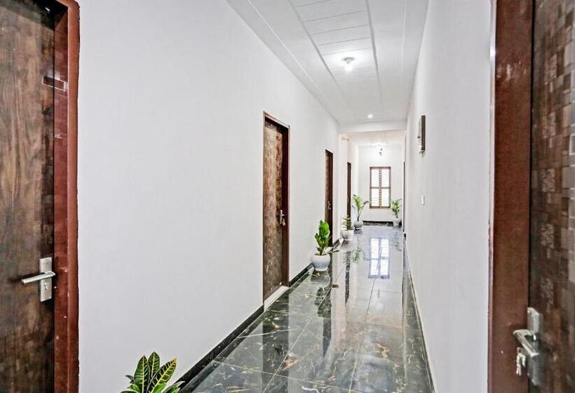 Hotel The Royal Fern