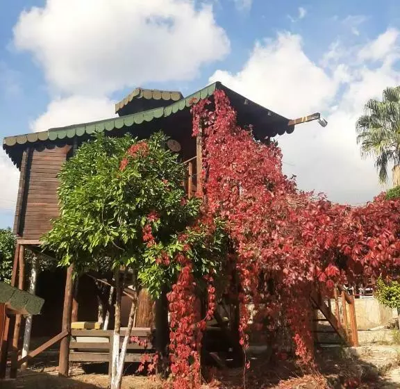 هتل Esvi̇da Arzum Bungalow