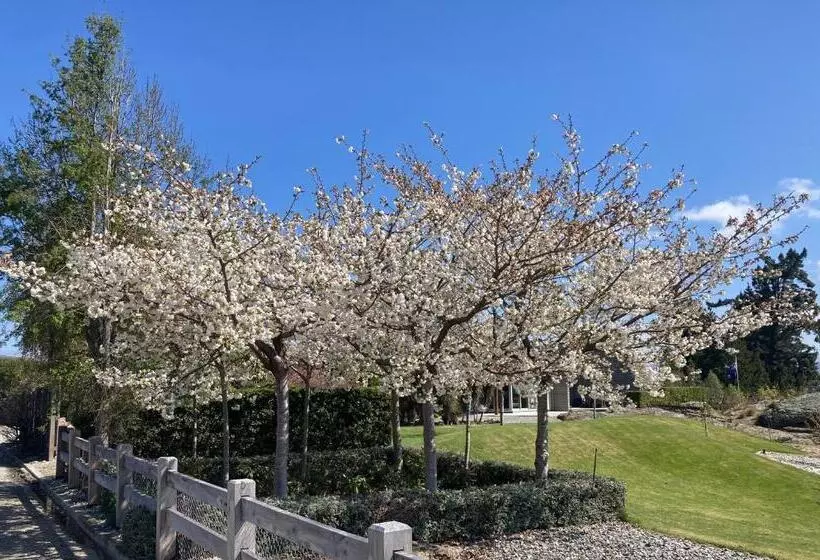 Majatalo Lookout Escape Studio, Alexandra