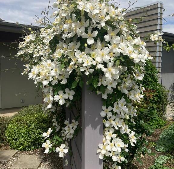 膳宿费 Lookout Escape Studio, Alexandra