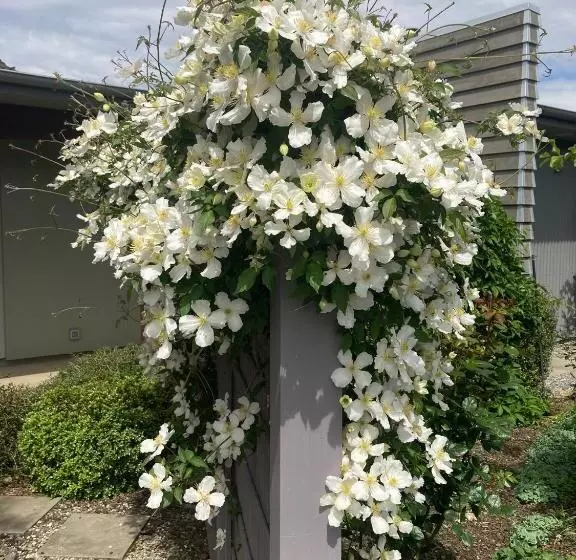 Majatalo Lookout Escape Studio, Alexandra