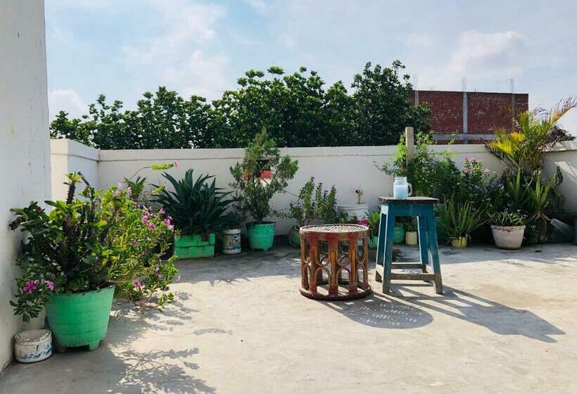 Pensão Roof Top Private Rooms With Garden