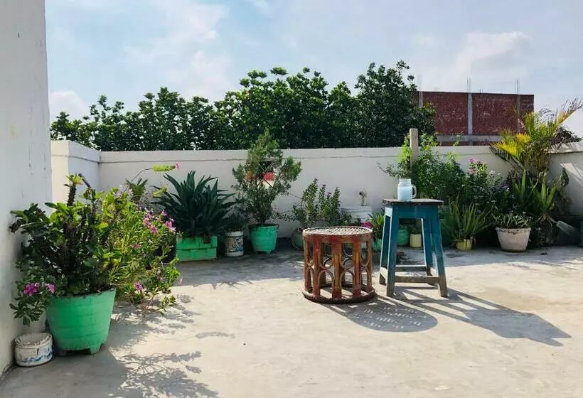 ペンション Roof Top Private Rooms With Garden