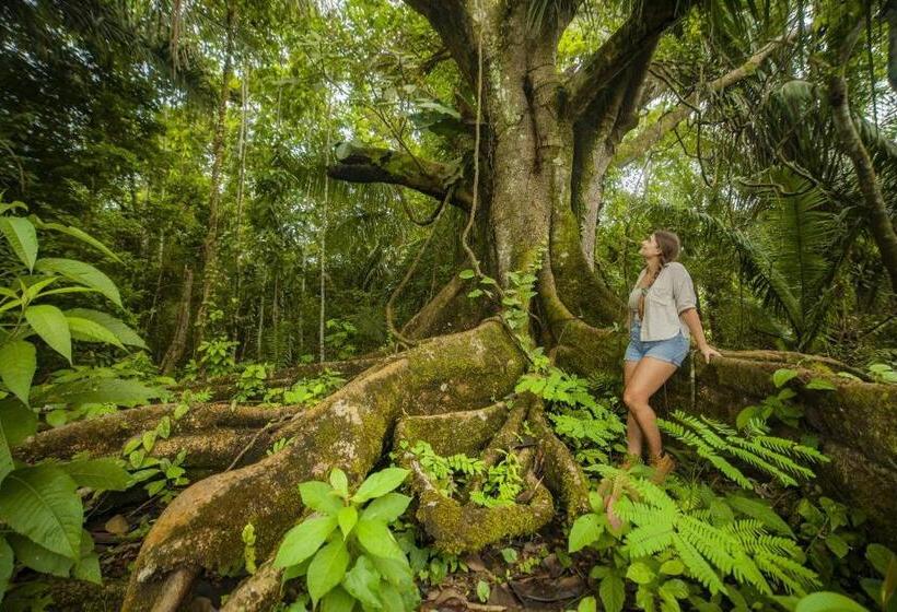 פנסיון Rosa S House