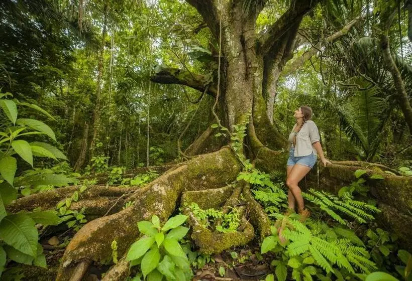 ペンション Rosa S House