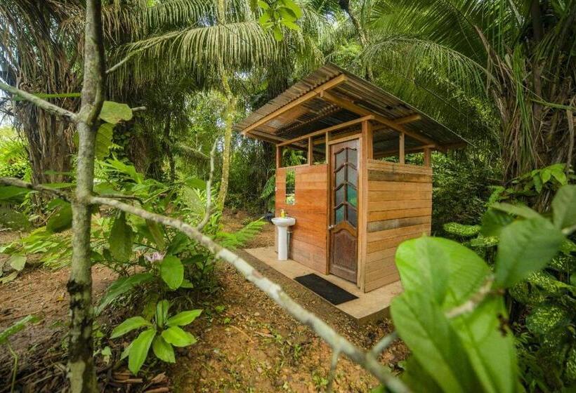 פנסיון Rosa S House