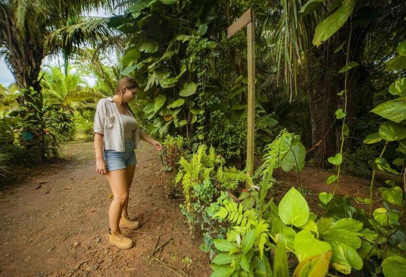 פנסיון Rosa S House