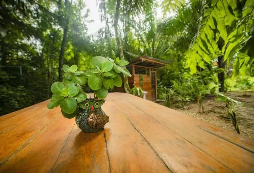 ペンション Rosa S House