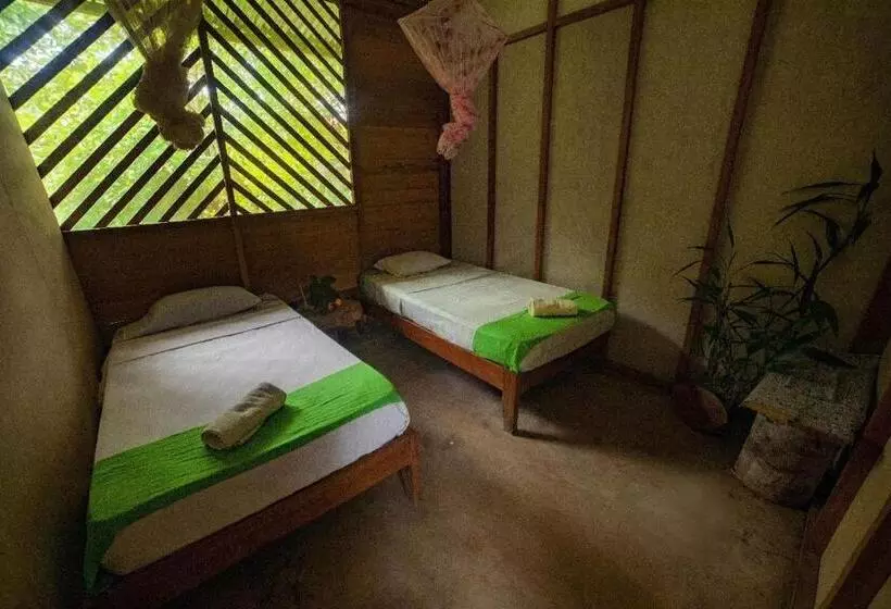 ペンション Rosa S House