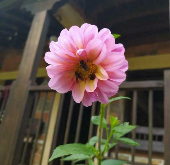Bed & Breakfast Casa Campestre, Jerusalén
