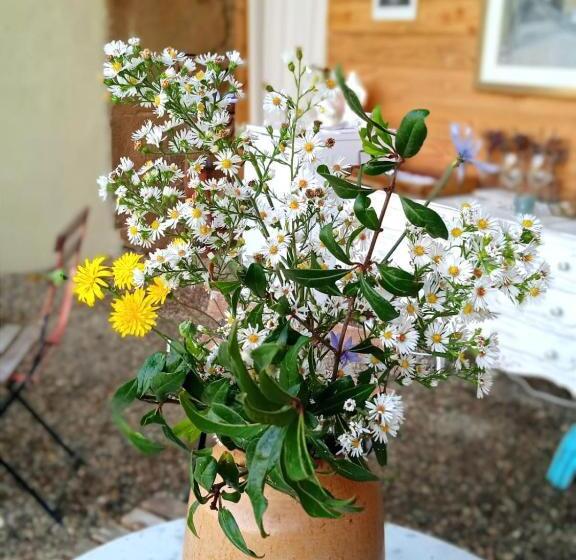 Bed and Breakfast L Espigol Antiga Era