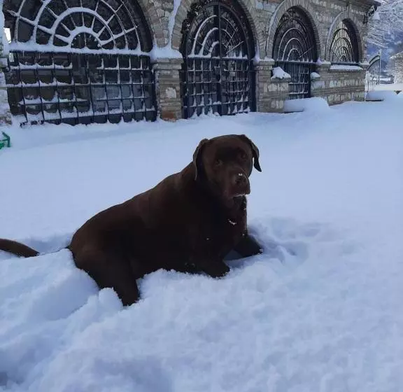 Bed & Breakfast Villa Monterosso