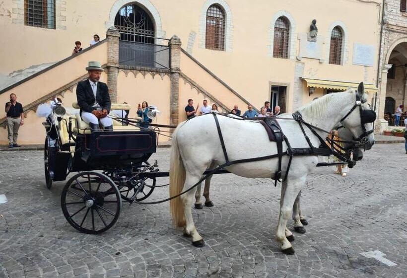 Bed & Breakfast Villa Monterosso