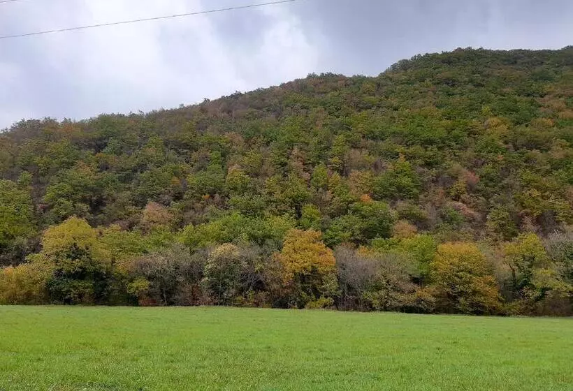 Bed & Breakfast Villa Monterosso