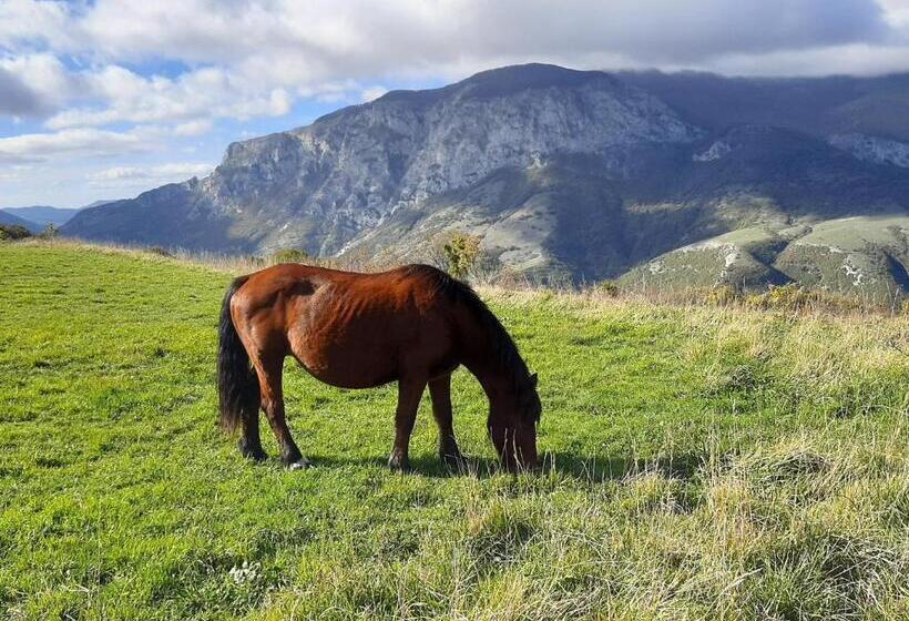 Bed & Breakfast Villa Monterosso